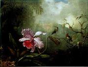 Martin Johnson Heade Cattleya Orchid Three Brazilian Hummingbirds oil on canvas